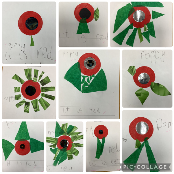 poppy