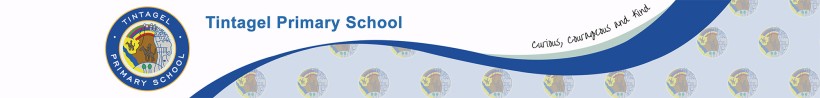 Tintagel Primary School