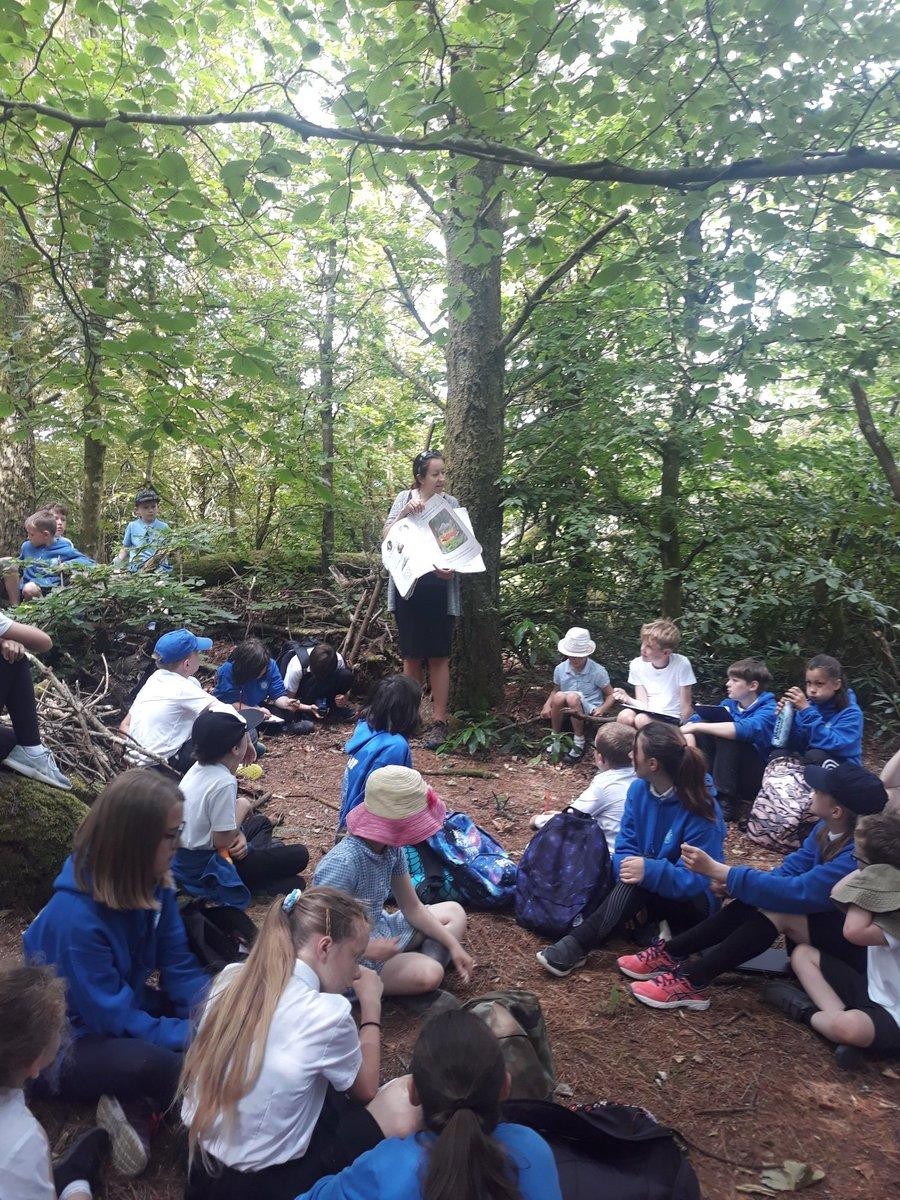 Learning from our local area