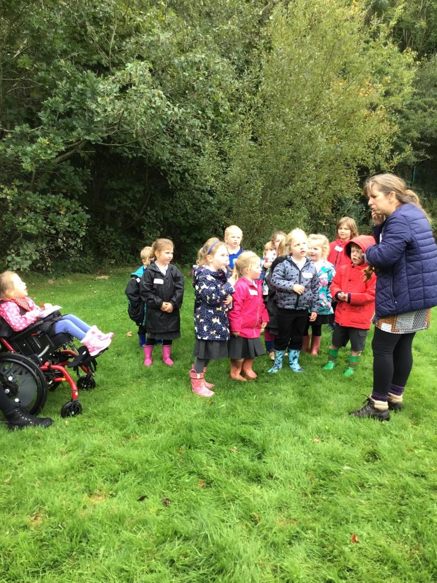 Forest schools