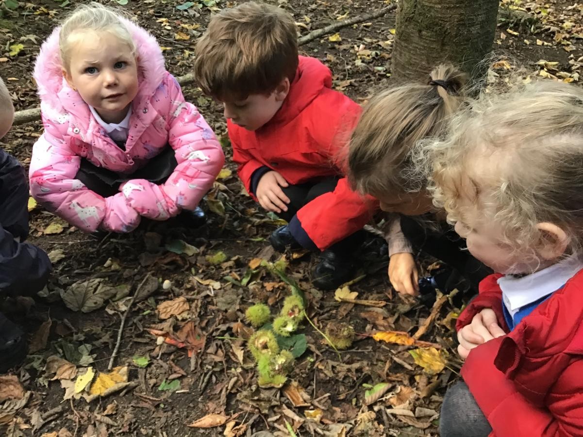 Outdoor learning 