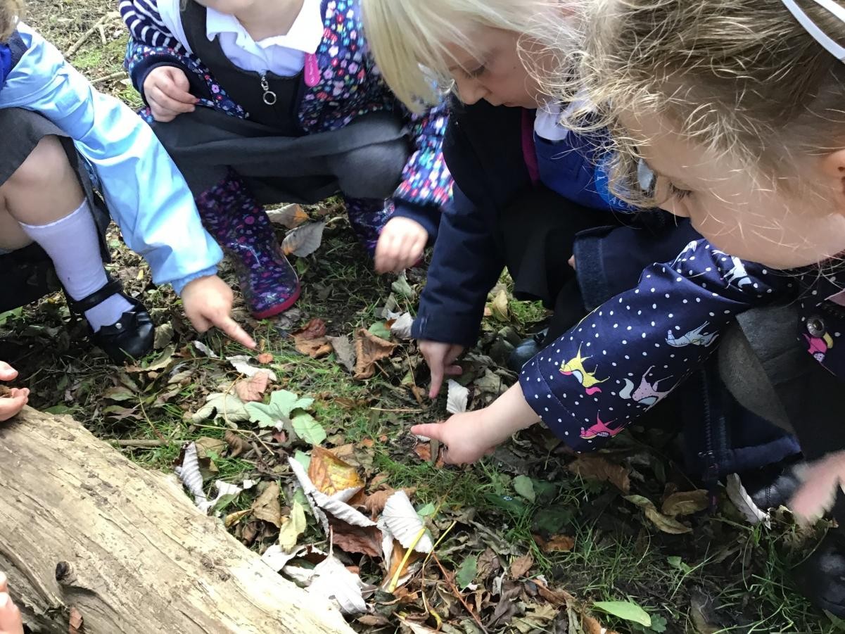 Outdoor learning