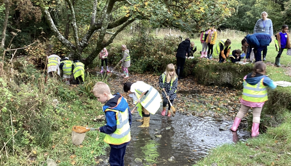 River dipping