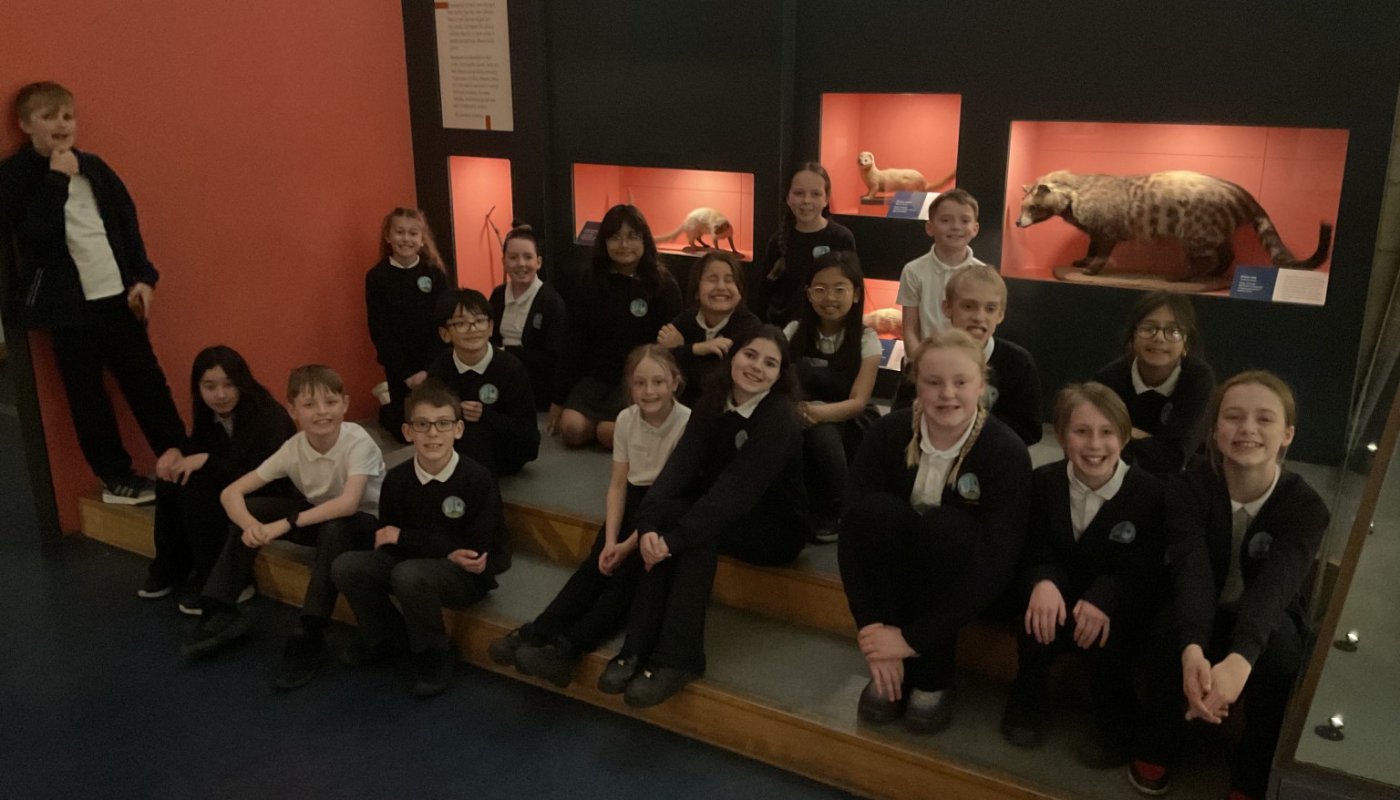 Exploring the Natural History Museum