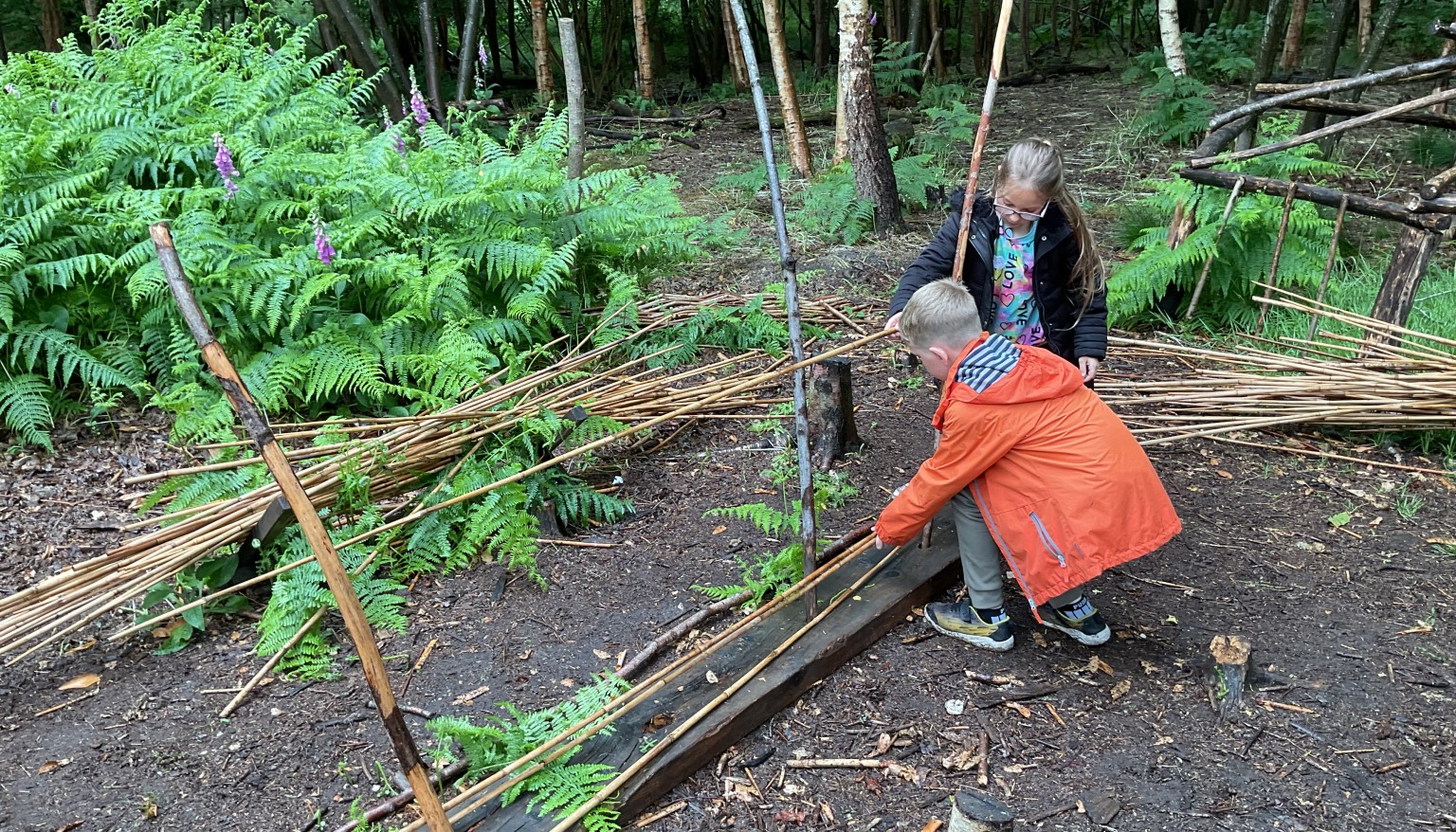 Viking skills