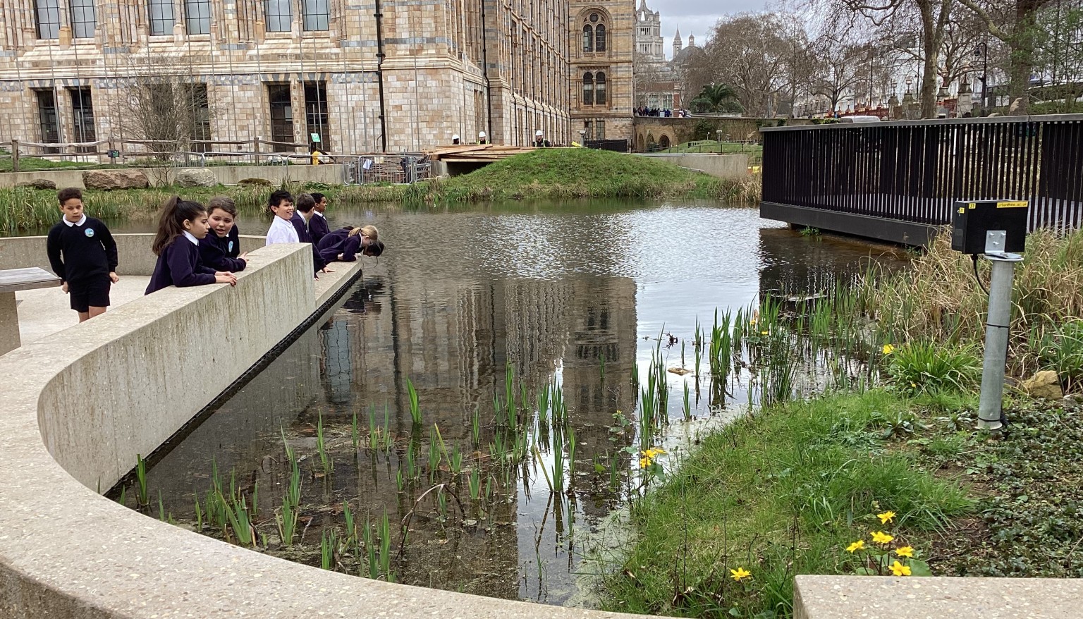 Exploring the Natural History Museum