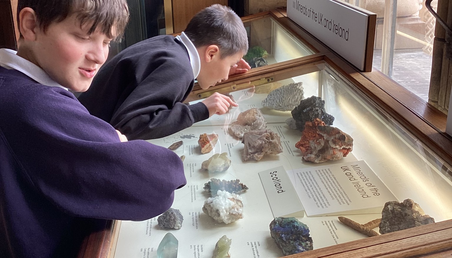 Exploring the Natural History Museum