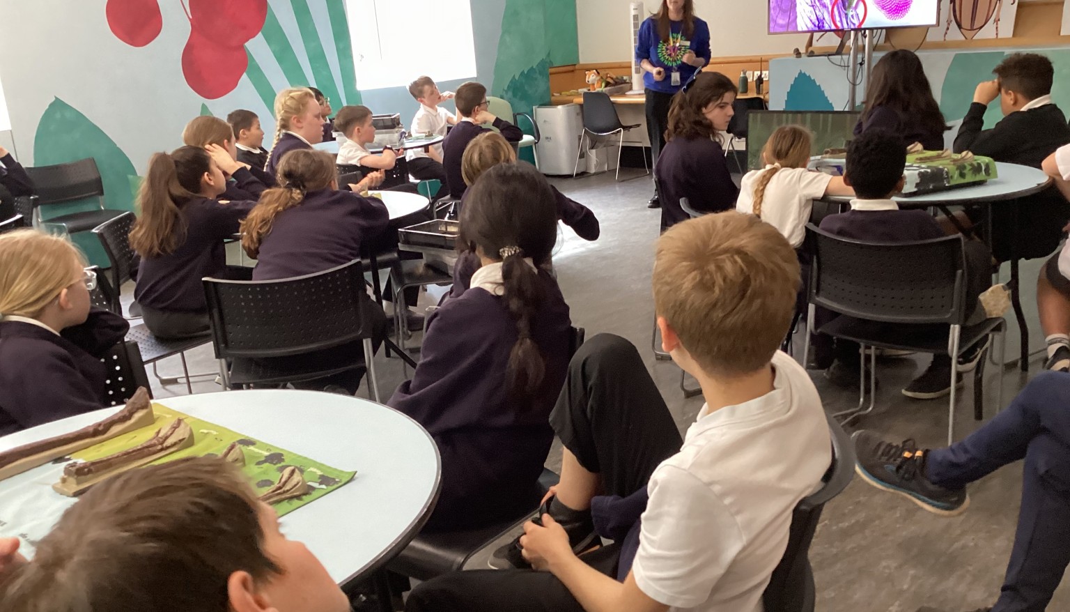 Evolution workshop