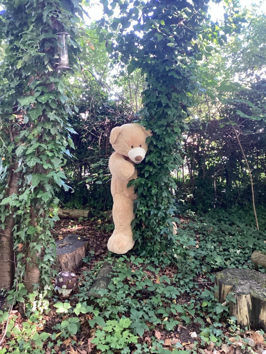 Do you recognise the different places around school we spotted the cheeky bear hiding?