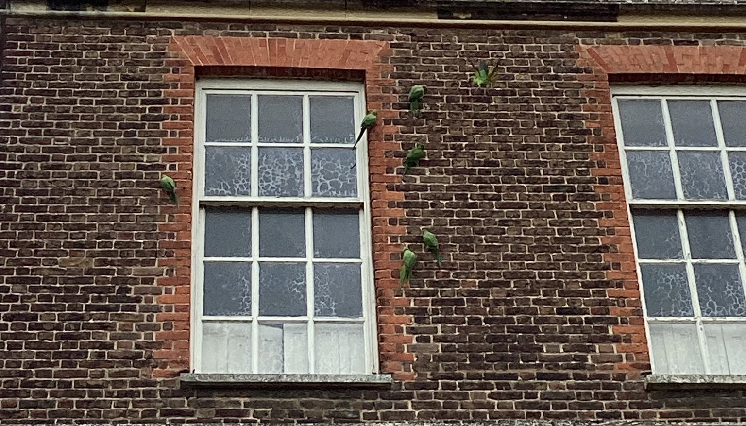 Hampton Court Palace