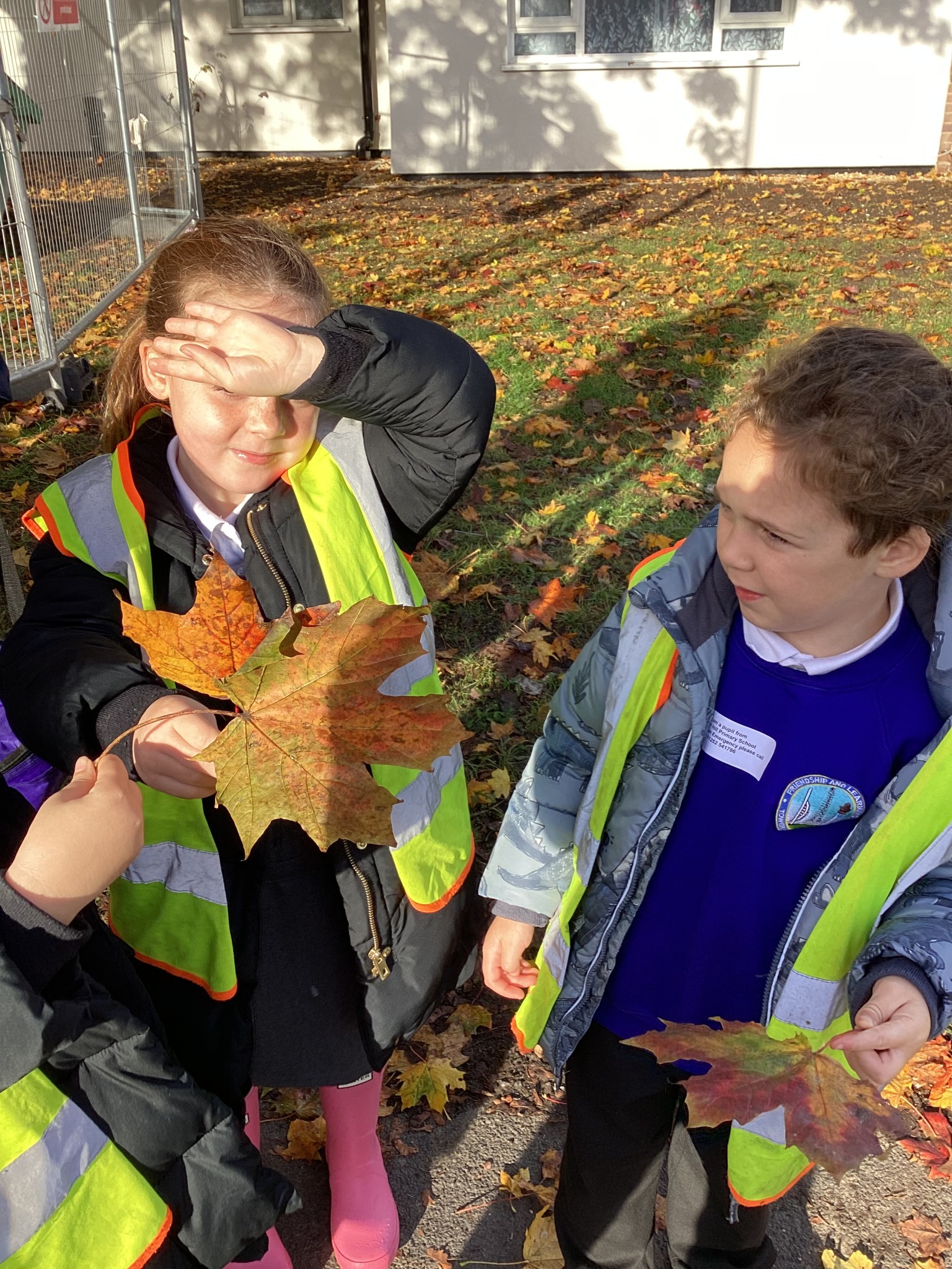 Children exploring the local area 