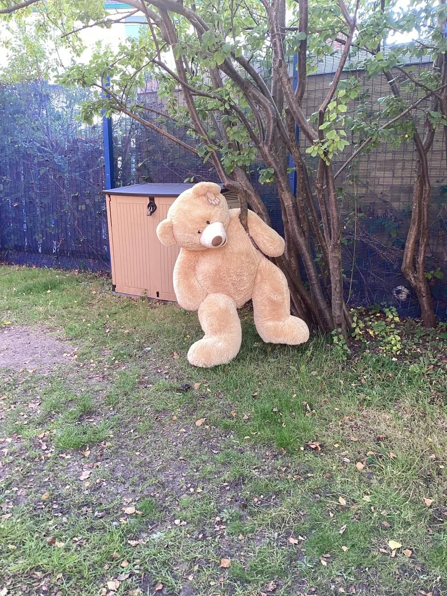 Do you recognise the different places around school we spotted the cheeky bear hiding?