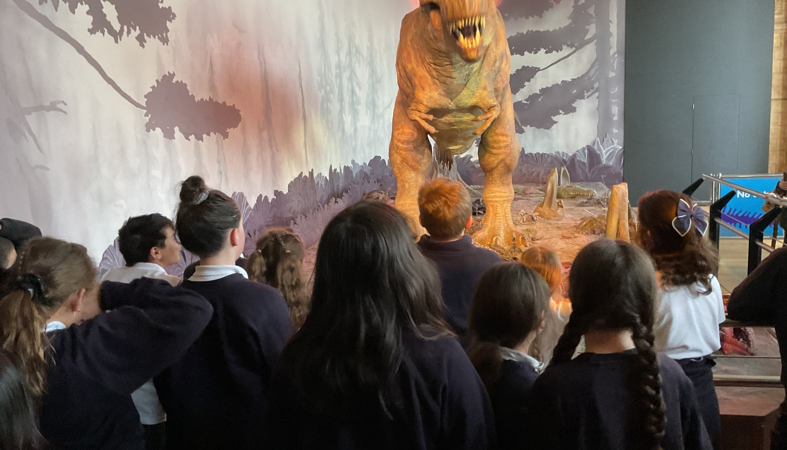 Exploring the Natural History Museum