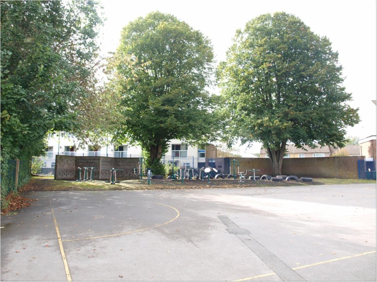 The Playground and Outdoor Gym