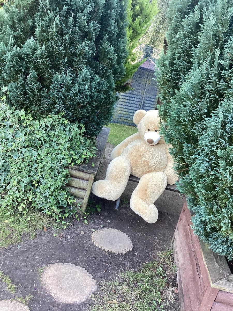 Do you recognise the different places around school we spotted the cheeky bear hiding?