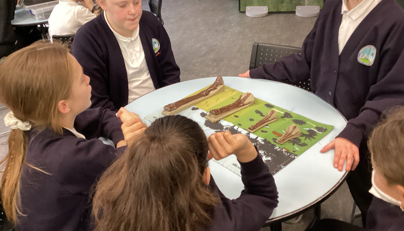 Evolution workshop