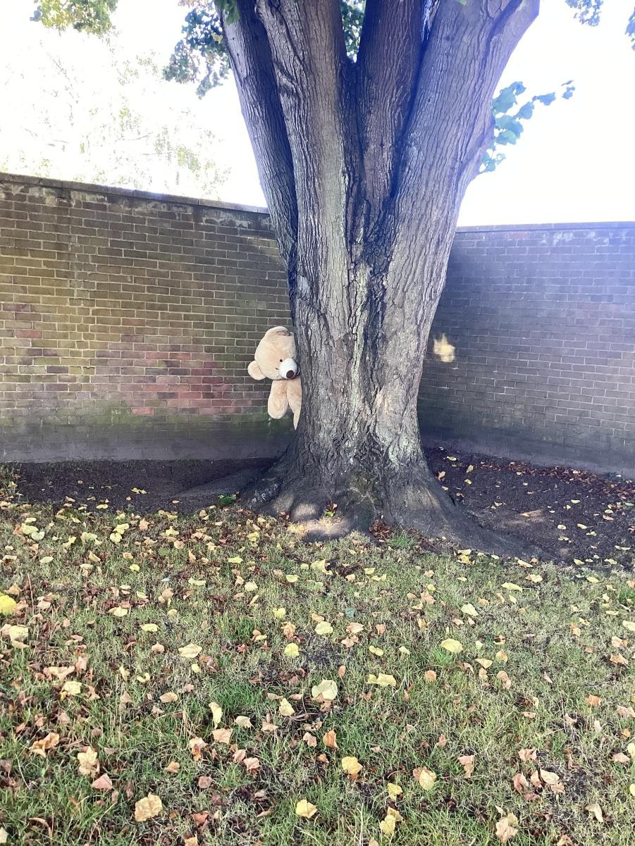 Do you recognise the different places around school we spotted the cheeky bear hiding?