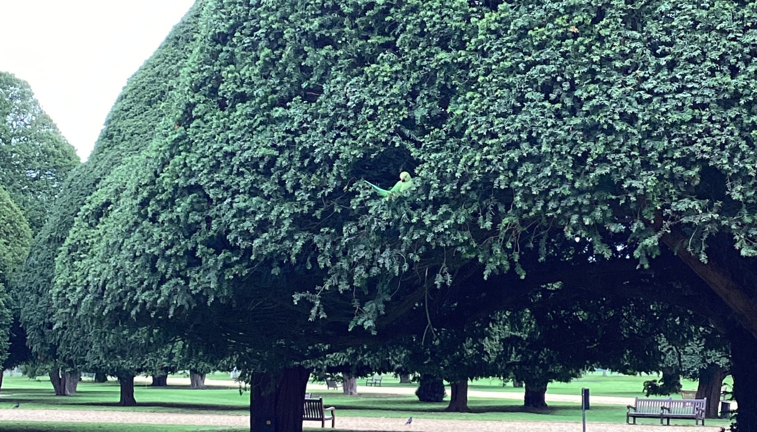 Hampton Court Palace