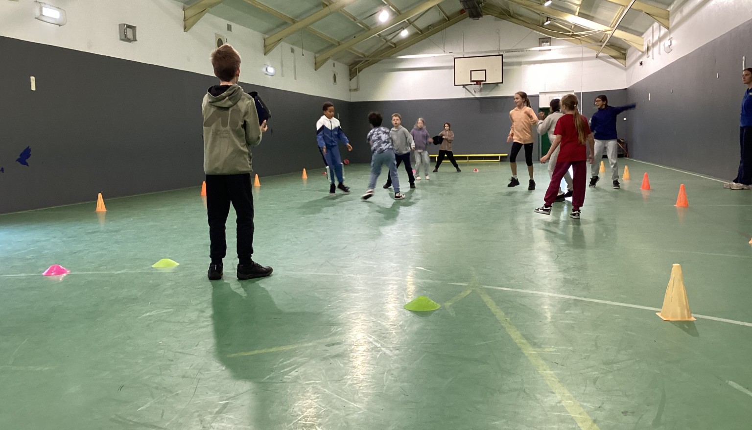 Fencing
