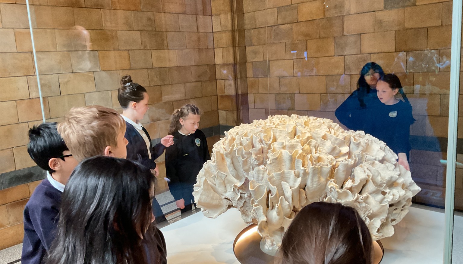 Exploring the Natural History Museum
