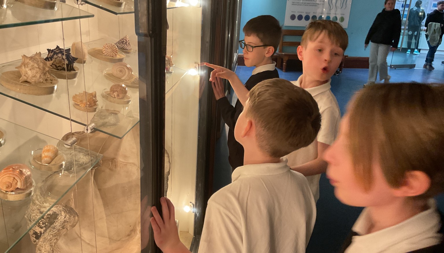 Exploring the Natural History Museum