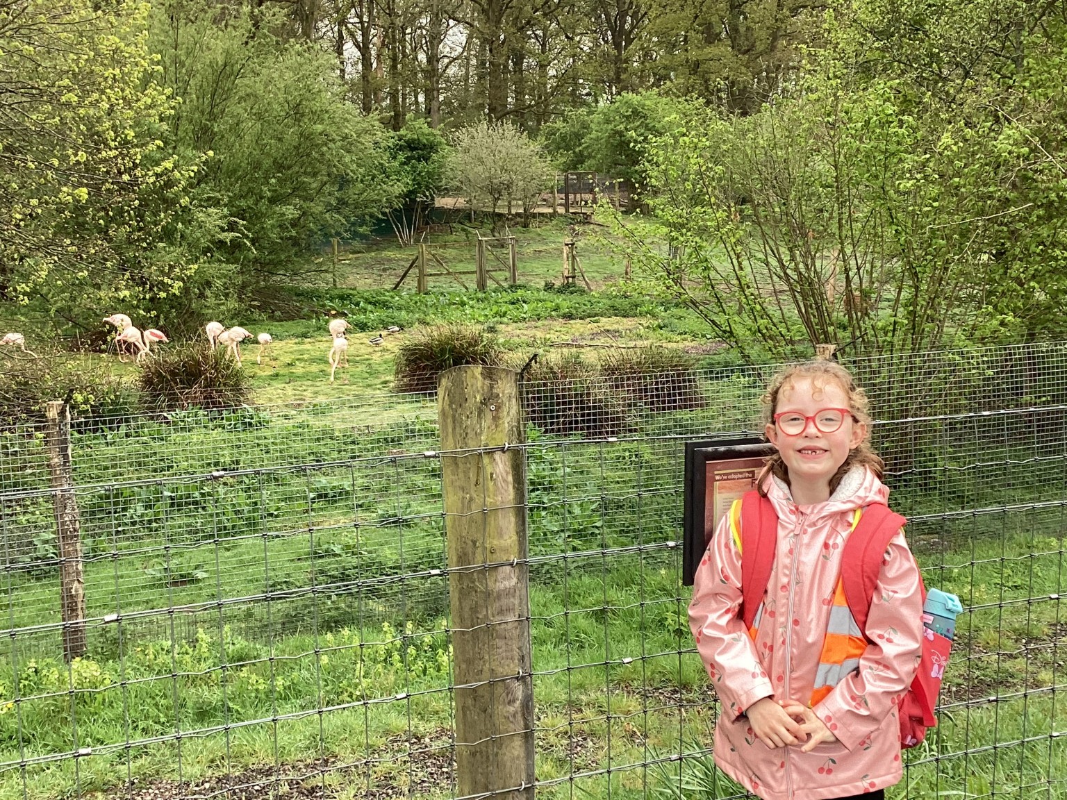 Maeve and her favourite animal