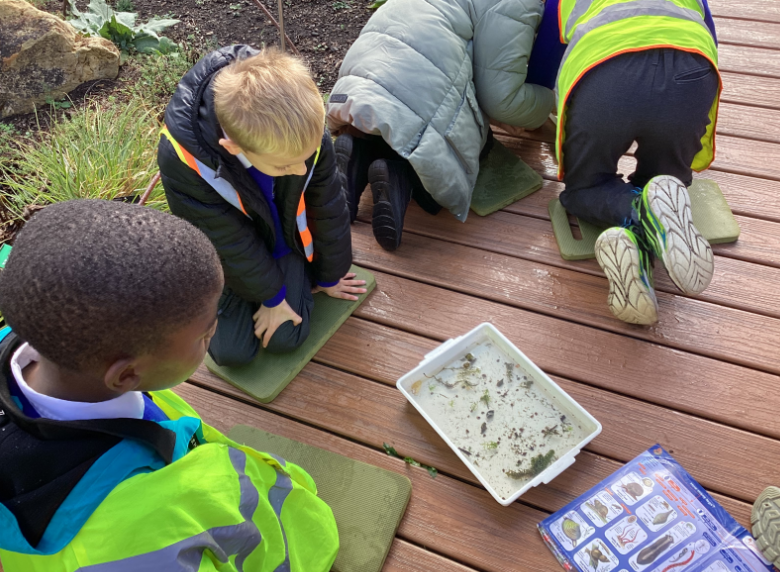 RHS Wisley Trip