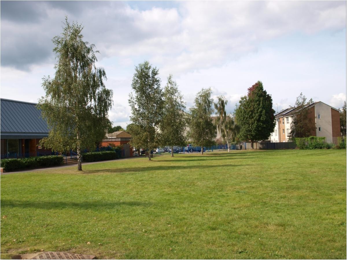 The Field