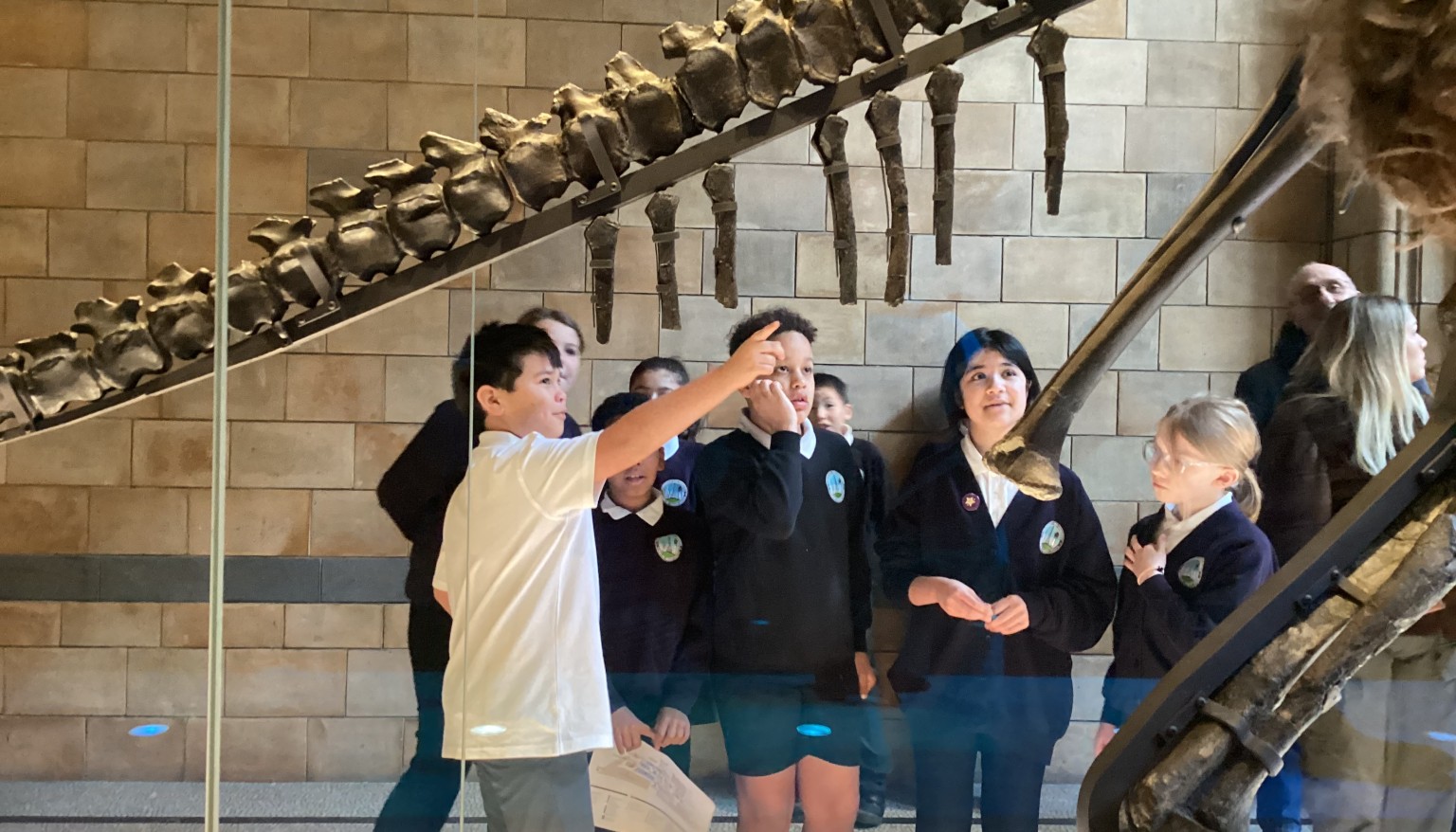 Exploring the Natural History Museum