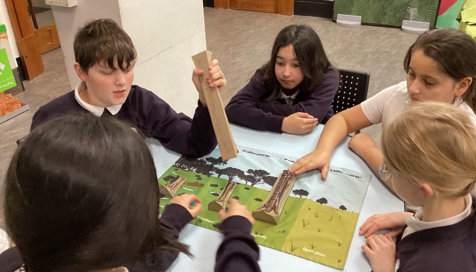 Evolution workshop
