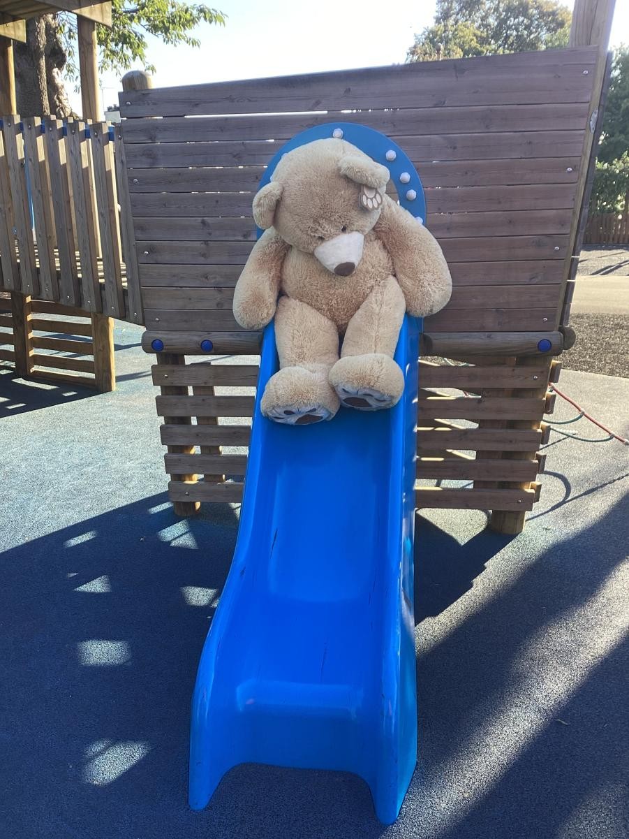 Do you recognise the different places around school we spotted the cheeky bear hiding?