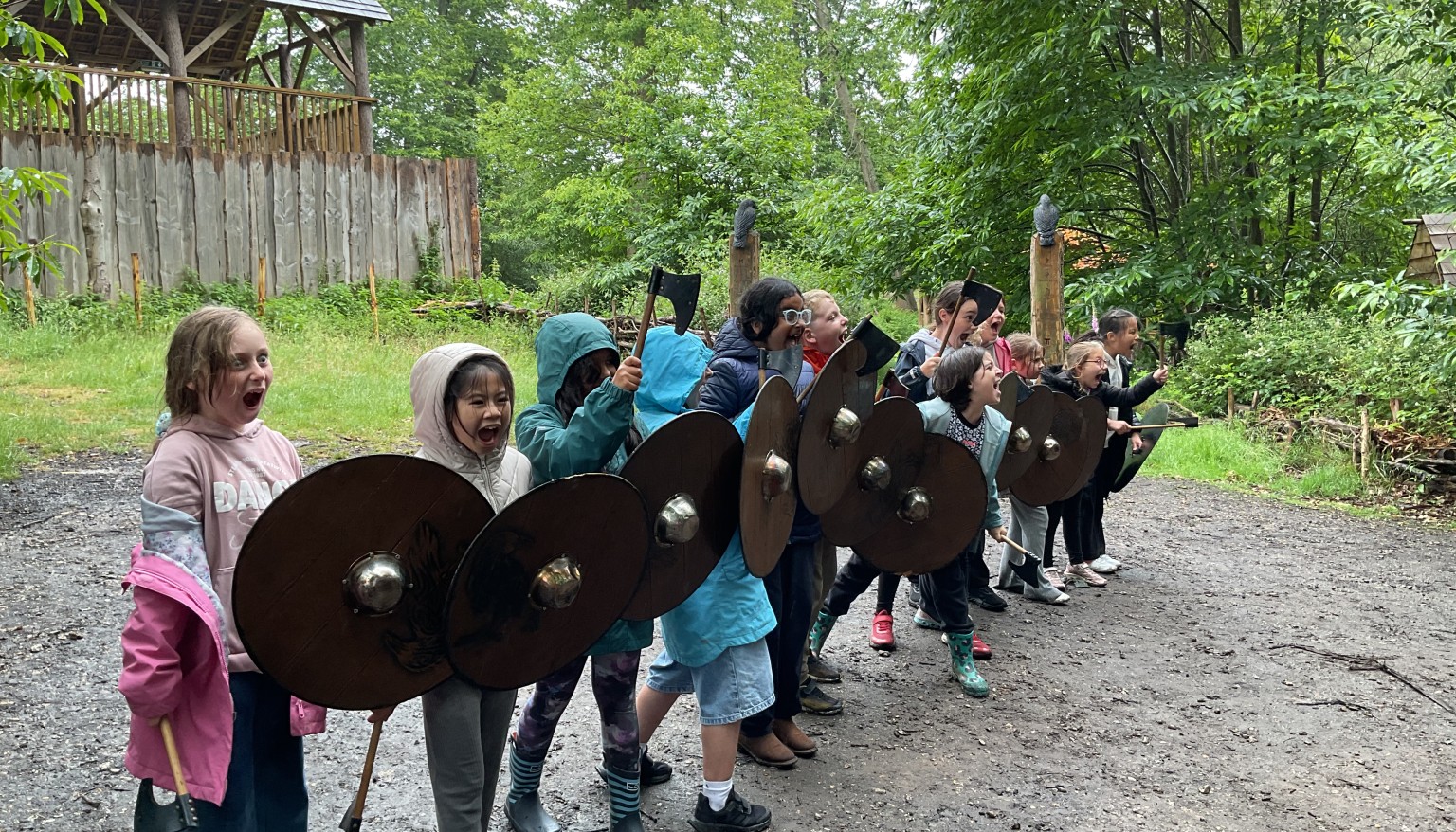 Vicious Vikings