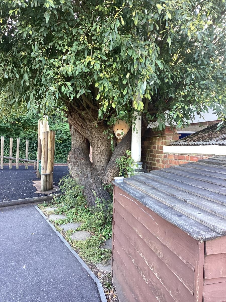 Do you recognise the different places around school we spotted the cheeky bear hiding?