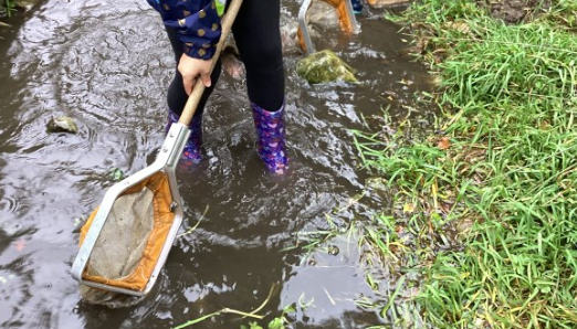 Catching river insects