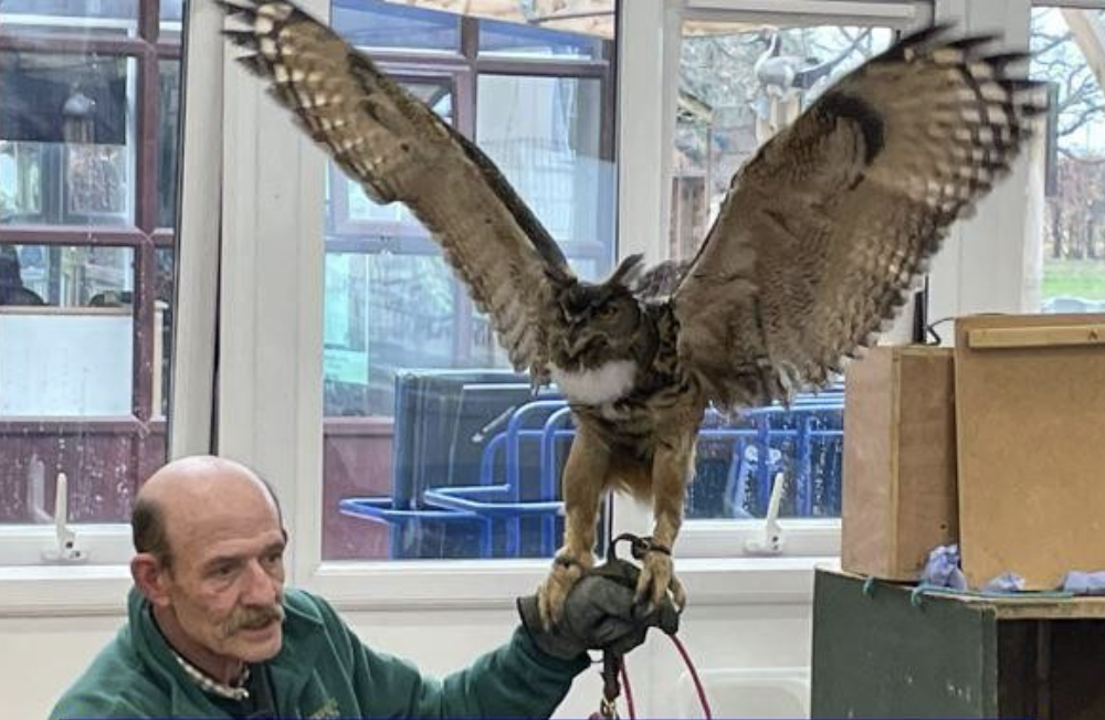 Bird of prey and handler