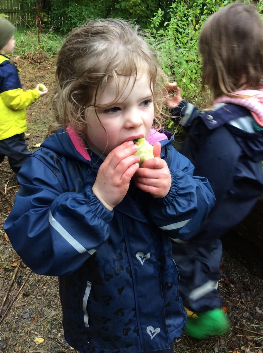 The apples were fresh and crunchy.