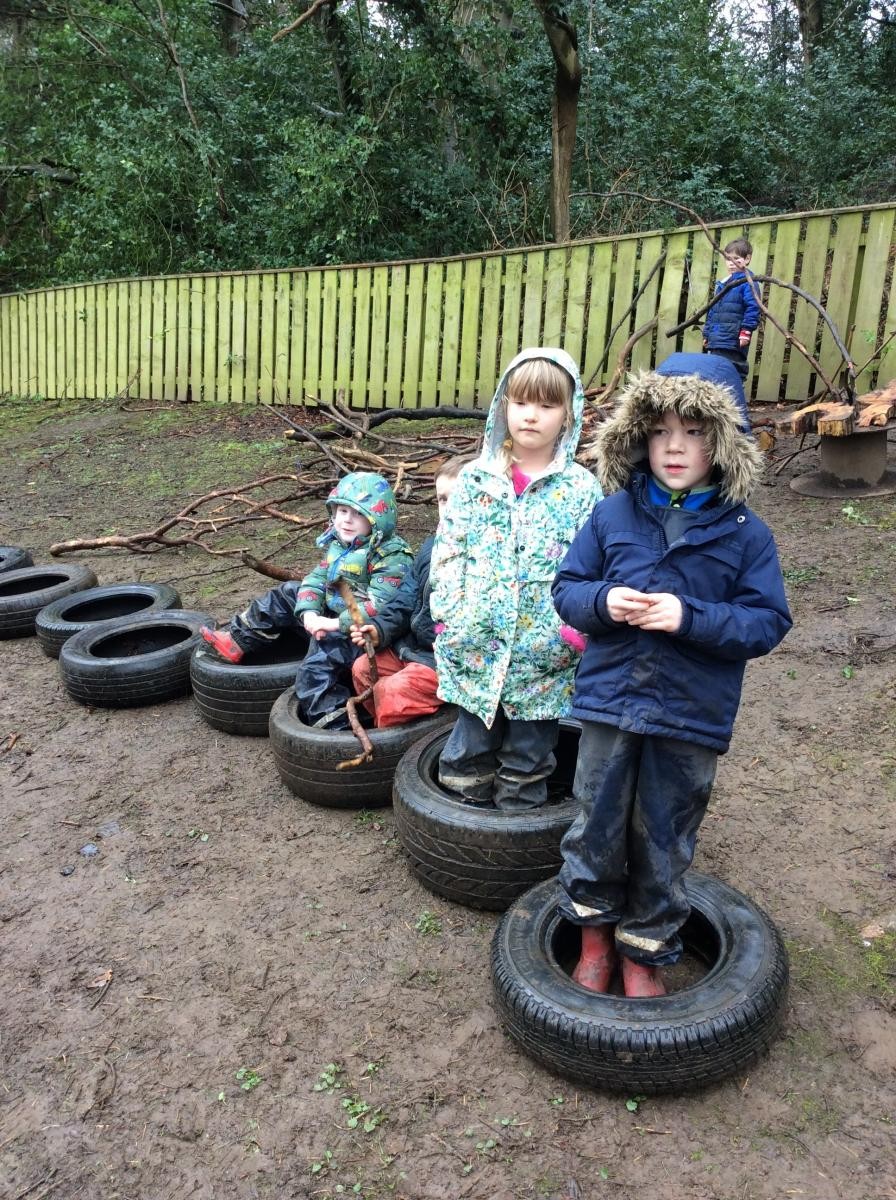 Forest fun 