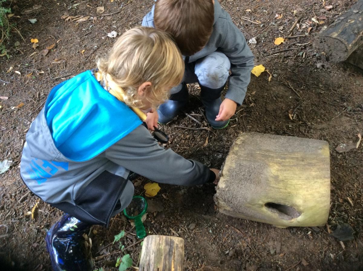 Some of us hunted for bugs.