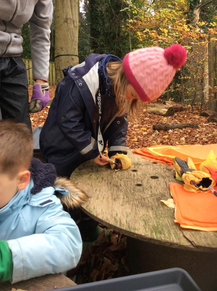 We used a palm drill to make a hole through the conker.