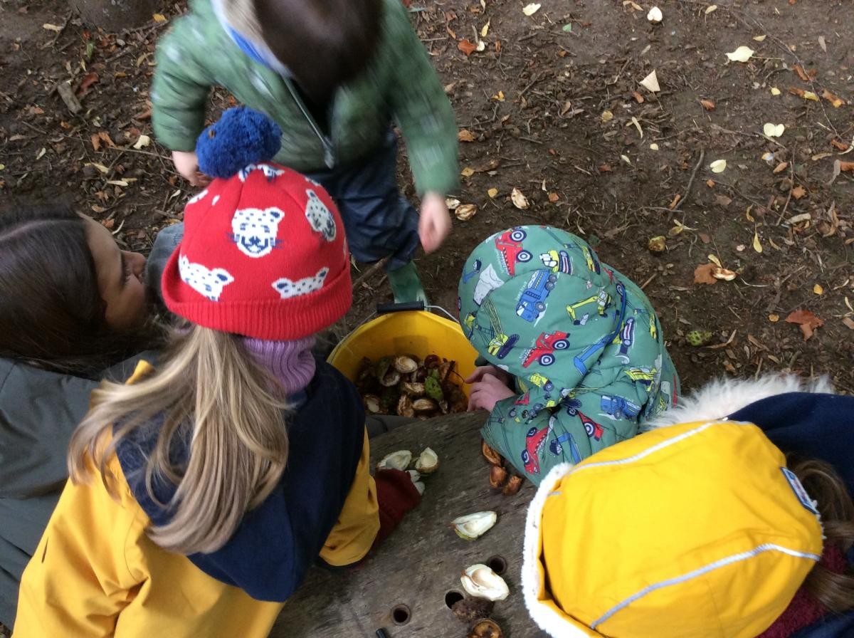 A bucket of conkers was great for investigating. When we open a conker shell we are the first person in the world to ever see the conker inside!