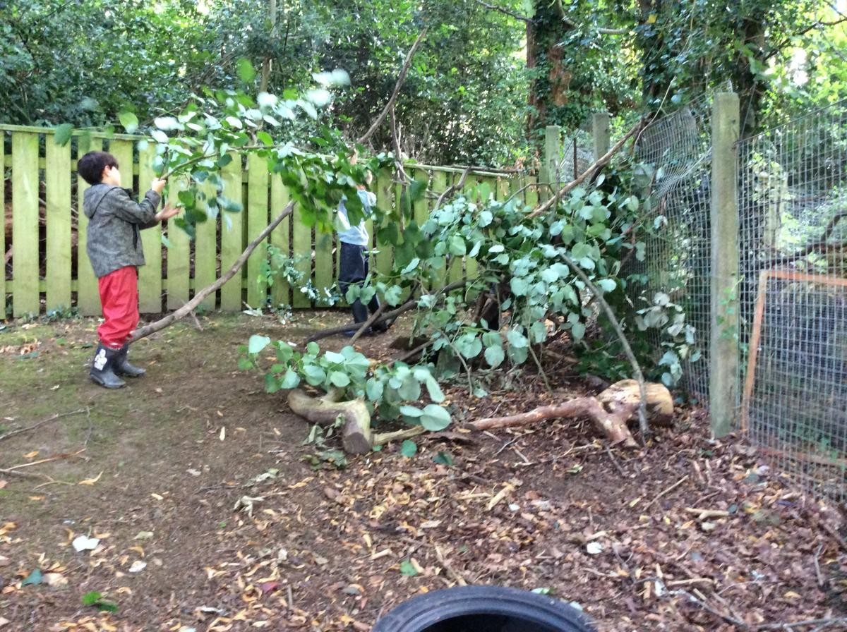 We needed lots of branches and wood for our den.