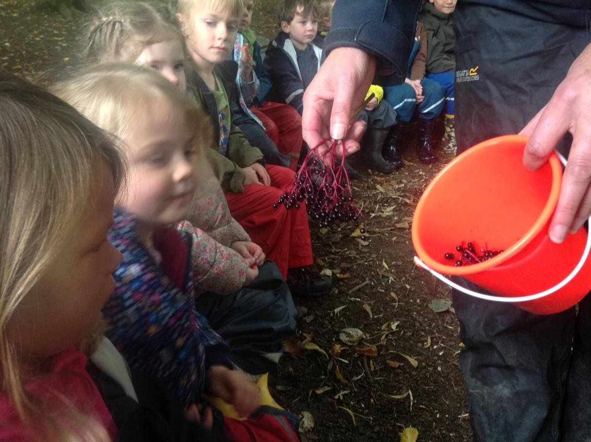 We made natural paints by mashing blackberries and elderberries and adding a little water. We also added water to some soil to make mud paint.