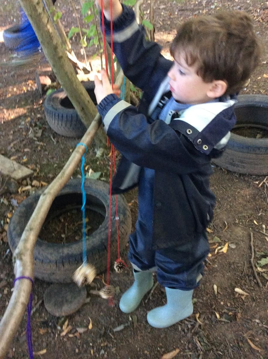 We hung the bird feeders on the trees.