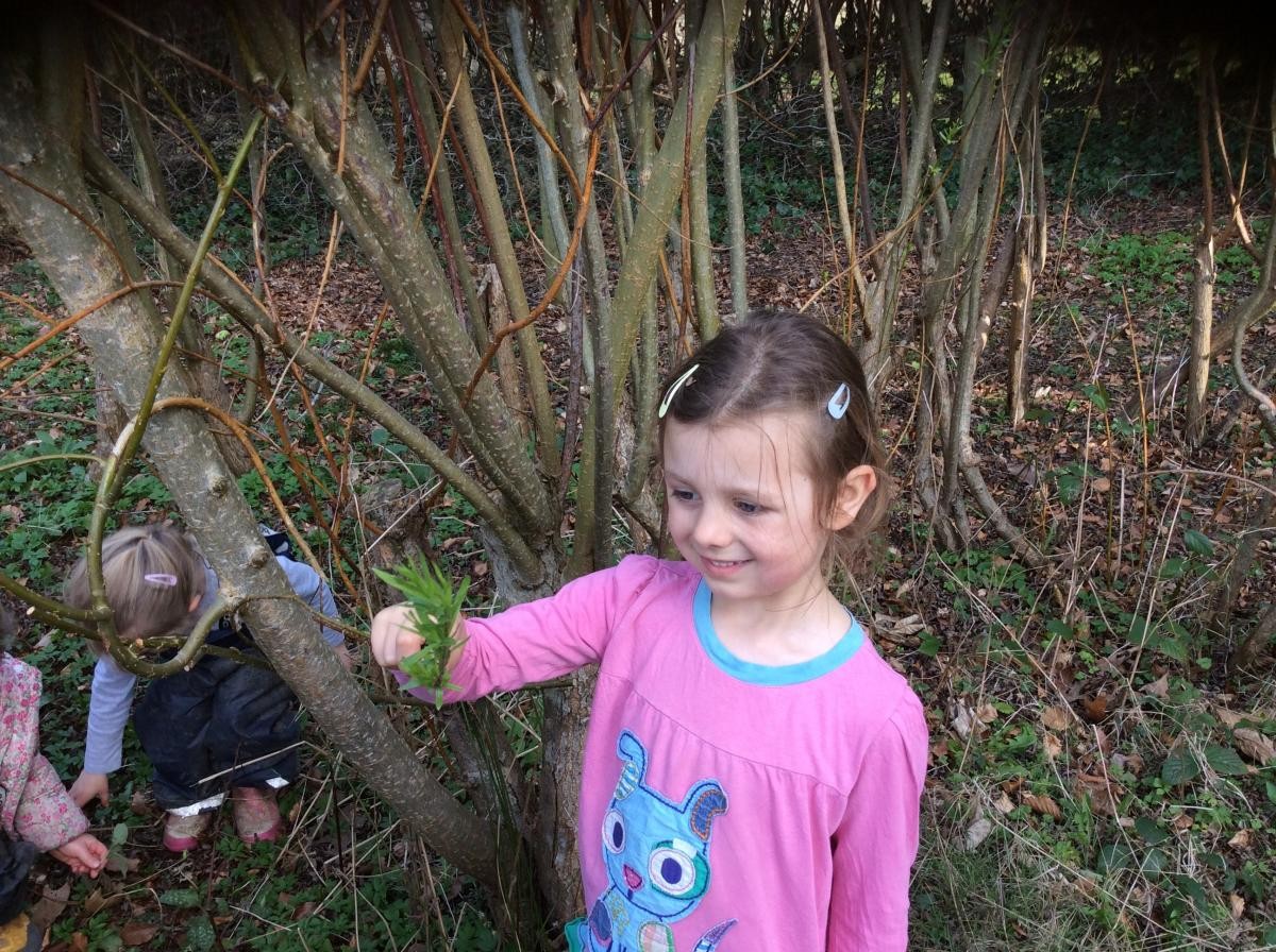 We found Spring flowers and lots of new buds and leaves.