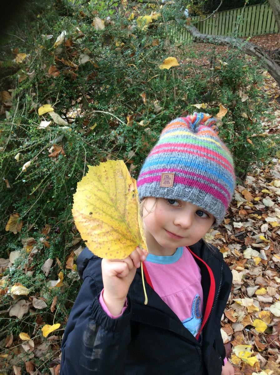 We love the beautiful leaves!