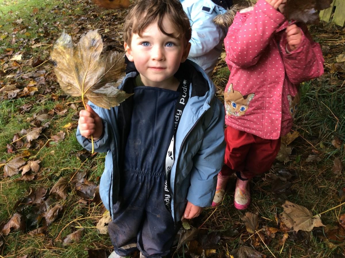 We went looking for Autumn signs. We found leaves as big as our faces!