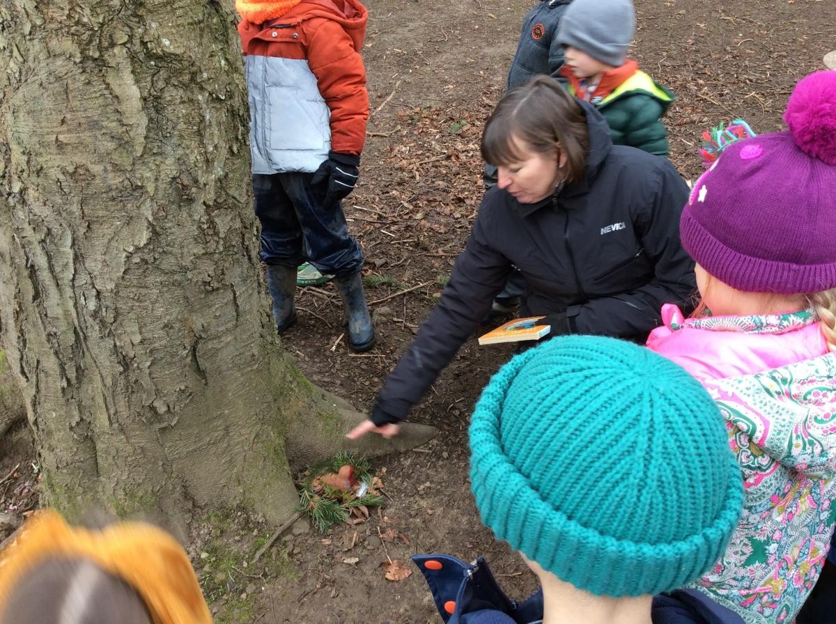 Searching in the tree roots