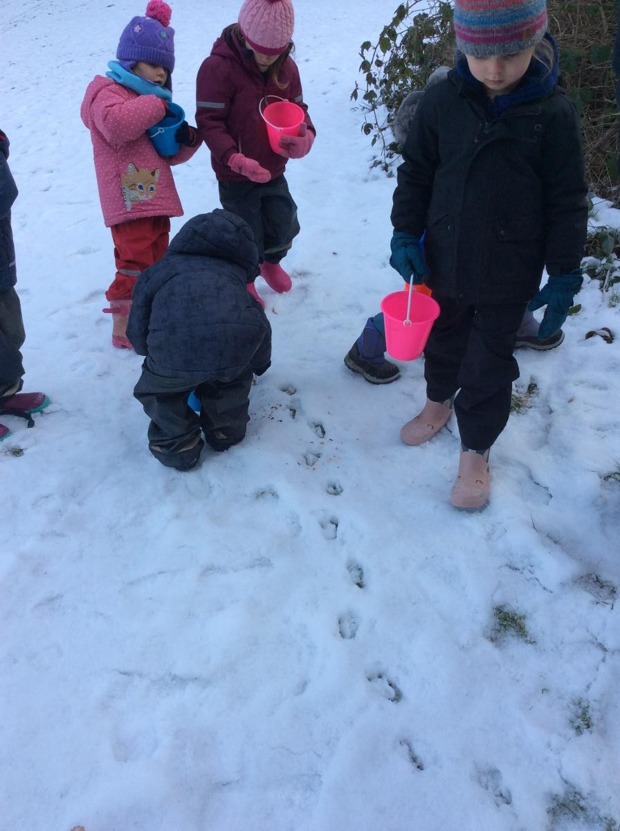 Week 1. Snow, ice and freezing cold temperatures! Reception went for a winter walk to feed the birds and look for wildlife tracks in the snow.