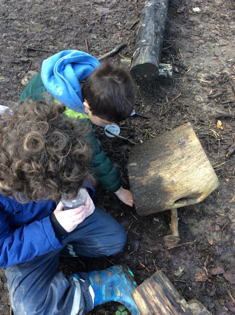 Looking under logs was a good place to find bugs.