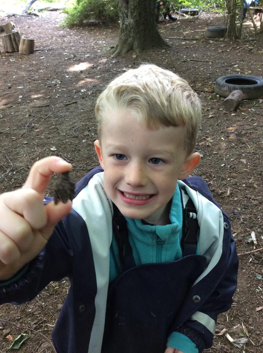 We found lots of interesting things in the woods and had lots of fun!